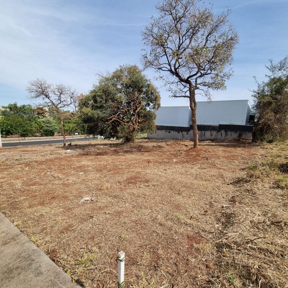 Lote - Venda - Alto da Boa Vista - Ribeiro Preto - SP